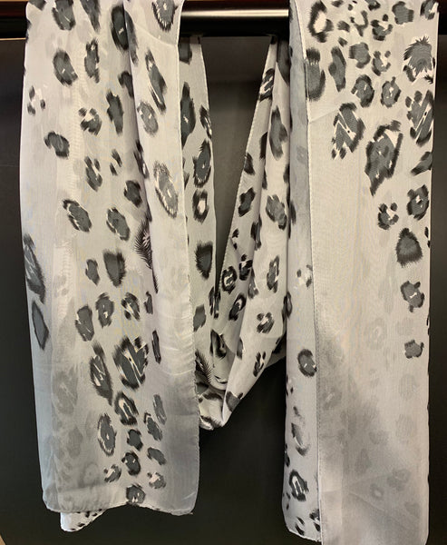 Grey Cheetah