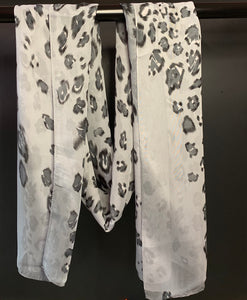 Grey Cheetah
