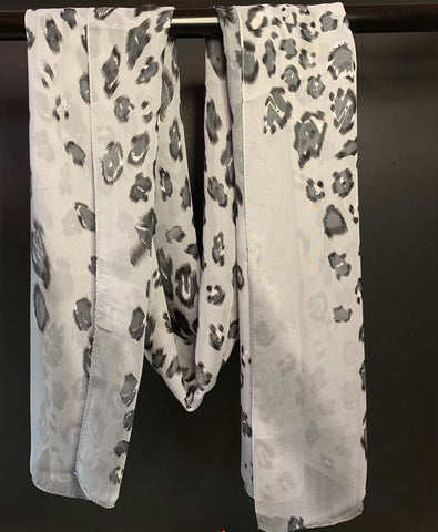 Grey Cheetah